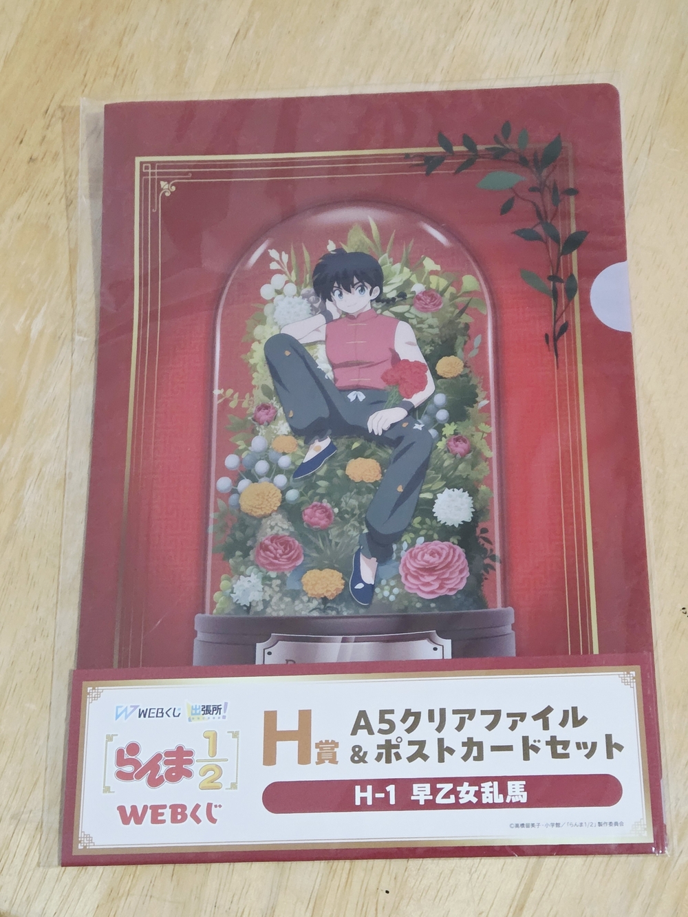 *4 for $20* Ranma 1/2 Ranma Saotome (Male) A5 Clear File